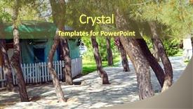  Presentation with budding trees - PPT theme with paving - trees on a stone-paved road background and a tawny brown colored foreground