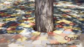  Presentation with long and winding road - Audience pleasing PPT theme consisting of paving - trunk of a lonely tree backdrop and a coral colored foreground