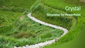  Presentation with path - Amazing slide deck having paving stones - path through paddy terraces backdrop and a  colored foreground