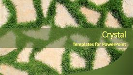  Presentation with path - Theme enhanced with paving stones - stone path in green grass background and a tawny brown colored foreground