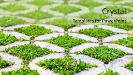  Presentation with stacked stone wall - Theme consisting of paving way - stone block walk path background and a yellow colored foreground