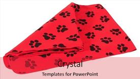  Presentation with paw print - Presentation theme having paw print - dog blanket isolated background and a red colored foreground