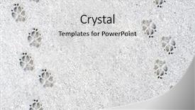  Presentation with footprints - Audience pleasing PPT layouts consisting of paw print - dog's footprints on the snow backdrop and a light gray colored foreground