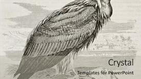 Presentation with paris - Theme having paw print - old illustration of griffon vulture background and a light gray colored foreground