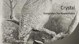  Presentation with animal and plants illustration - Cool new presentation theme with paw print - old illustration of snowy owl backdrop and a light gray colored foreground