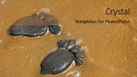  Presentation with zinc as trace minerals - Cool new slides with paw print - pair trace feet made backdrop and a gold colored foreground