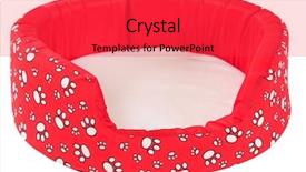  Presentation with mattress - Beautiful presentation theme featuring paw print - pet mattress isolated backdrop and a red colored foreground
