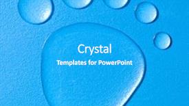  Presentation with paw print - Slides having paw print - water sprite track background and a teal colored foreground