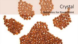  Presentation with paw print - Cool new PPT theme with paw symbol made of granules backdrop and a coral colored foreground