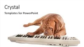  Presentation with paw - Slide deck having paw tracks - dogue de bordeau tired background and a white colored foreground