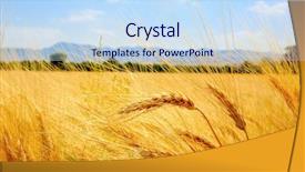  Presentation with sugarcane fields mountains landscape nature - Beautiful presentation featuring pays chypre - landscape with ear of wheat backdrop and a sky blue colored foreground