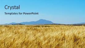  Presentation with blue mountain - Slide deck featuring pays chypre - wheat field with blue sky background and a light blue colored foreground