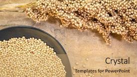  Presentation with sorghum - Audience pleasing presentation theme consisting of pbalc plate and a cluster backdrop and a coral colored foreground