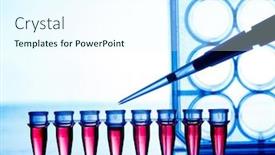  Presentation with genetic - PPT theme consisting of pcr-strip-in-genetic-laboratory background and a cool aqua colored foreground