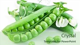  Presentation with green leaves - Colorful PPT layouts enhanced with pods of green peas backdrop and a seafoam green colored foreground
