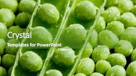  Presentation with pigeon pea diseases - Slides enhanced with pea pod with peas background and a  colored foreground