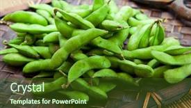  Presentation with soybeans - PPT layouts featuring fresh harvested edamame soybeans on wooden tray background and a tawny brown colored foreground
