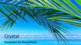  Presentation with peace - Presentation design having sleeping beside suitcase in hotel background and a light gray colored foreground