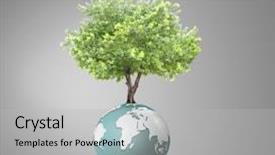  Presentation with green planet - Cool new presentation theme with wooden rings steady rings still backdrop and a wine colored foreground.