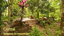  Presentation with peaceful - Slides having peaceful march - berdut malaysia - apr 8 background and a tawny brown colored foreground