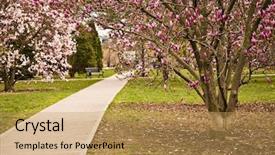  Presentation with columbus - Colorful theme enhanced with peaceful march - goodale park in columbus ohio backdrop and a yellow colored foreground
