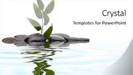  Presentation with peaceful serenity - Theme consisting of peaceful serenity - tranquil scene green leaf background and a white colored foreground