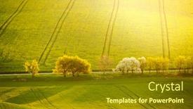  Presentation with minimalistic - PPT theme having peaceful-view-on-of-sunlit background and a tawny brown colored foreground