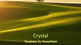  Presentation with minimalistic - Amazing PPT theme having peaceful-view-on-of-sunlit backdrop and a tawny brown colored foreground