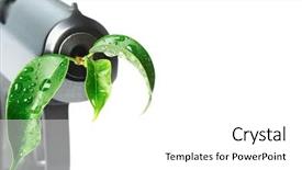  Presentation with green leaf - Audience pleasing presentation design consisting of peacemaker - gun with green leaf backdrop and a white colored foreground