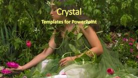  Presentation with enchanted - Beautiful presentation featuring peach flower daisy - enchanted garden indoor shoot backdrop and a tawny brown colored foreground