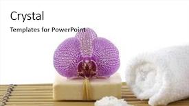  Presentation with purple orchids pink flowers orchid - Beautiful presentation design featuring peach flower daisy - spa setting with pink orchid backdrop and a  colored foreground