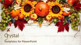  Presentation with thanksgiving or fall greeting - Beautiful slide deck featuring peach flower daisy - thanksgiving background with autumn pumpkins backdrop and a cream colored foreground