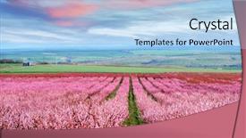  Presentation with garden - Presentation design consisting of peach garden in blossom time background and a light blue colored foreground