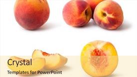  Presentation with octopus on isolated white - Slides with peach isolated on white background background and a blonde colored foreground