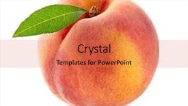 Presentation with betel leaf - Slides having peach with leaf in closeup background and a coral colored foreground