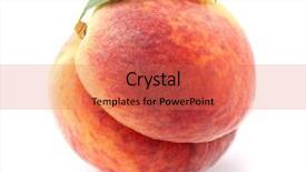  Presentation with betel leaf - Beautiful slides featuring peach with leaf backdrop and a coral colored foreground