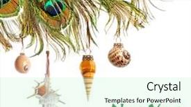  Presentation with peacock feather - Colorful presentation design enhanced with peacock feather - creative new year backdrop and a soft green colored foreground