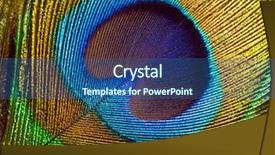  Presentation with peacock feather - Slide set having peacock feather abstract closeup background background and a ocean colored foreground