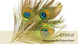  Presentation with peacock feather - Cool new presentation theme with peacock-feathers-carnival-feather backdrop and a yellow colored foreground