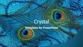  Presentation with peacock - Amazing slide deck having peacock feathers on a blue backdrop and a  colored foreground