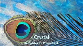  Presentation with rainbow peacock - Audience pleasing PPT layouts consisting of peacock feathers on a blue backdrop and a ocean colored foreground