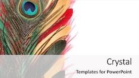  Presentation with rainbow peacock - Cool new presentation theme with peacock feathers on a white backdrop and a white colored foreground