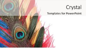  Presentation with rainbow peacock - Amazing presentation theme having peacock feathers on a white backdrop and a sky blue colored foreground