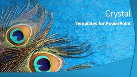  Presentation with peacock - Amazing PPT theme having peacock-feathers-on-a-white backdrop and a teal colored foreground