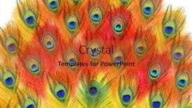  Presentation with peacock - Amazing PPT theme having peacock-feathers-peacock-carnival backdrop and a red colored foreground