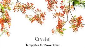  Presentation with peacock - Audience pleasing PPT theme consisting of peacock-flowers-on-tree backdrop and a white colored foreground