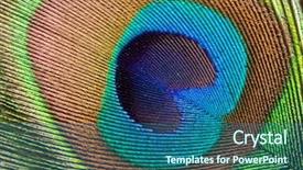  Presentation with peacock feather - Colorful PPT layouts enhanced with peacock plume close up backdrop and a ocean colored foreground