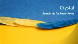  Presentation with blue yellow - Slide deck consisting of peafowl - blue and yellow feathers carnival background and a teal colored foreground