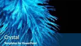  Presentation with white and navy blue - PPT layouts with peafowl - blue feather on white background background and a ocean colored foreground