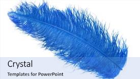  Presentation with carnival - Theme enhanced with peafowl - blue feathers carnival background and a teal colored foreground